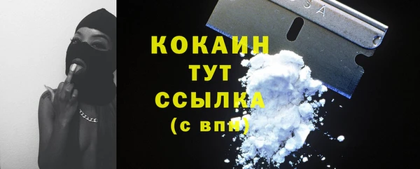 молекула духа Новодвинск
