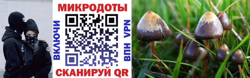 Галлюциногенные грибы ЛСД  Алейск 